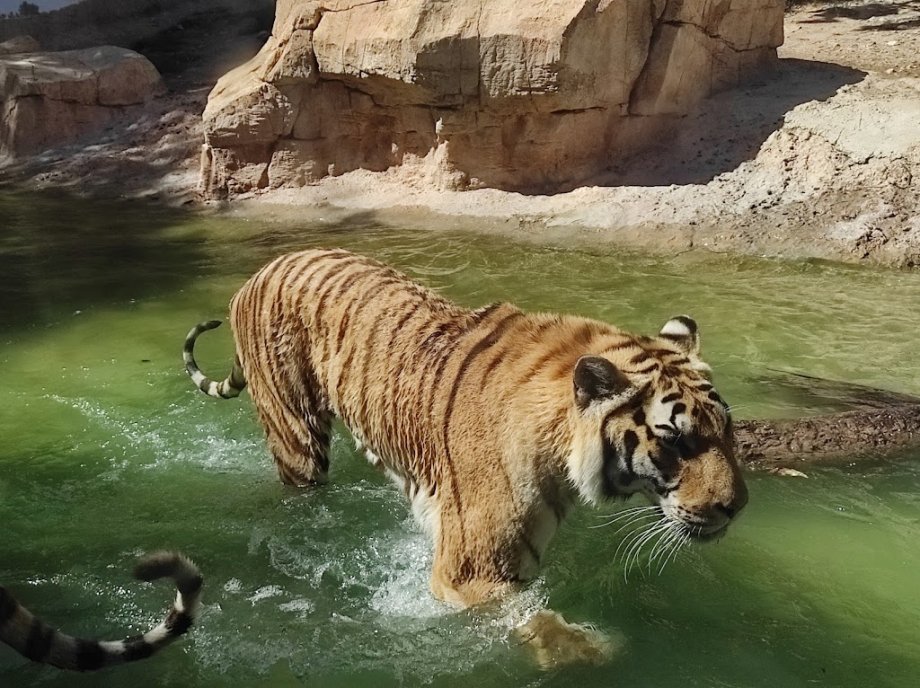 Terra Natura Benidorm - Foto 17