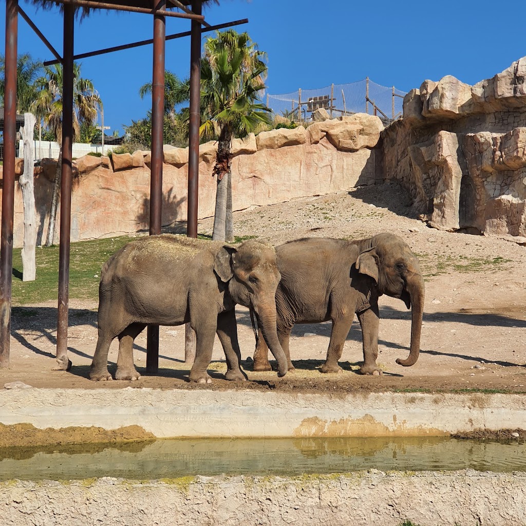 Terra Natura Benidorm 4