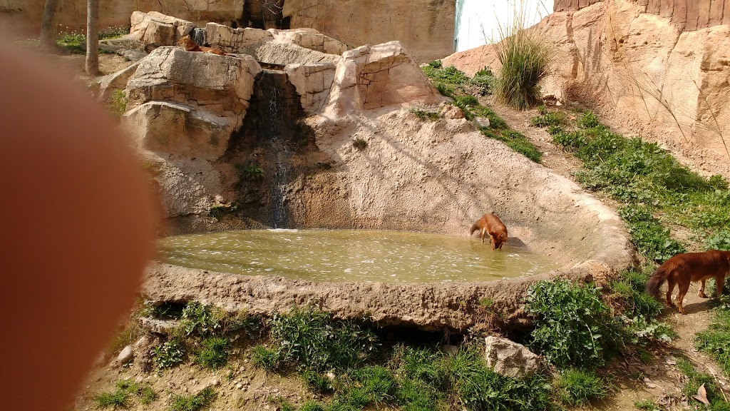 Terra Natura Benidorm - Foto 1