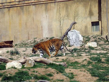 Terra Natura Benidorm - Foto 1