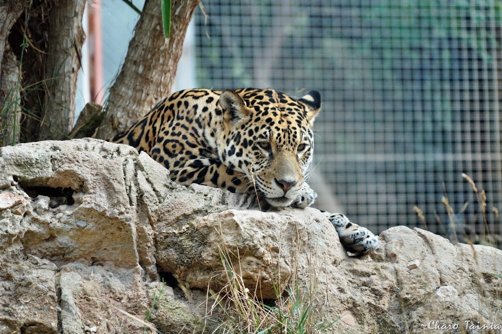 Terra Natura Benidorm 13