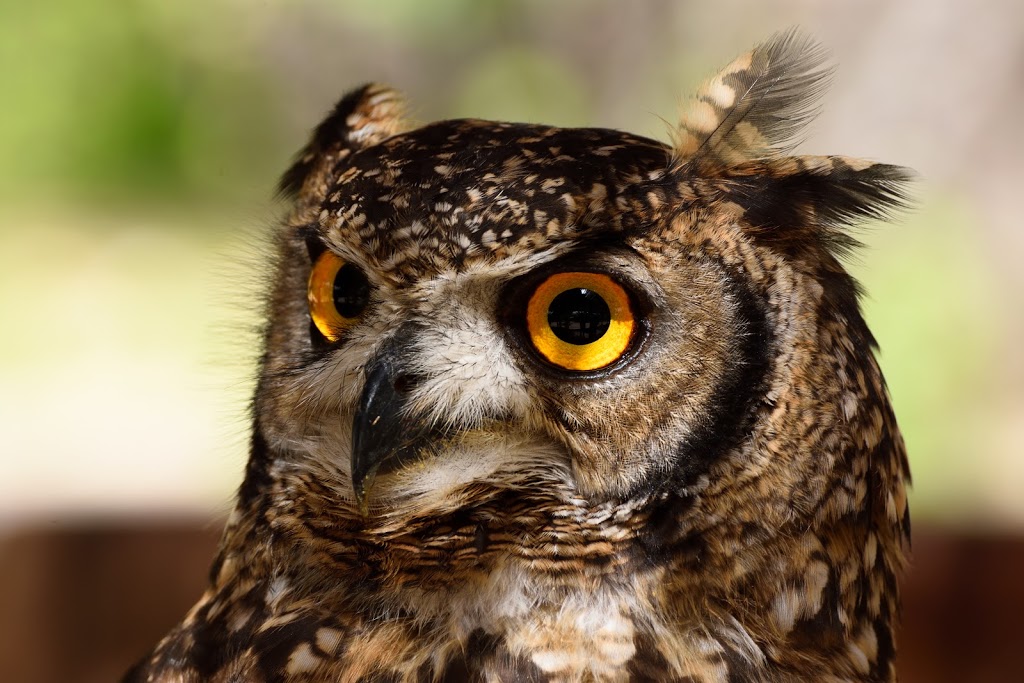 Terra Natura Benidorm - Foto 1