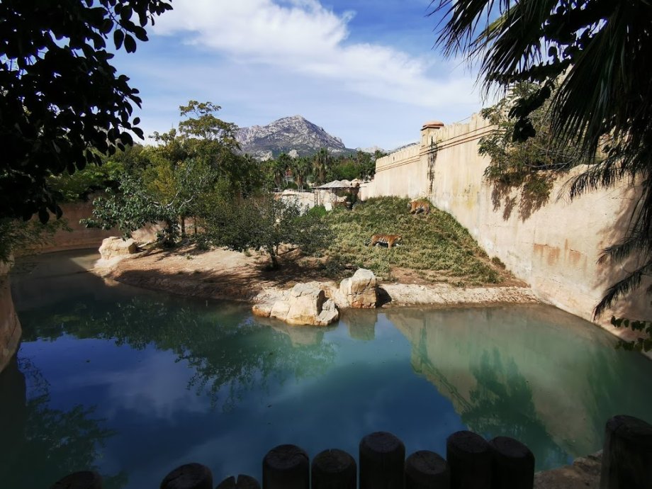 Terra Natura Benidorm - Foto 13