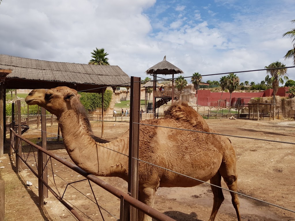 Terra Natura Benidorm - Foto 1
