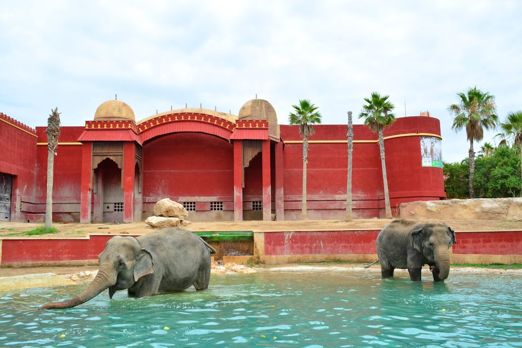 Terra Natura Benidorm 5