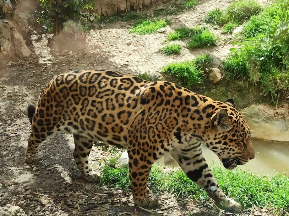 Terra Natura Benidorm - Foto 20