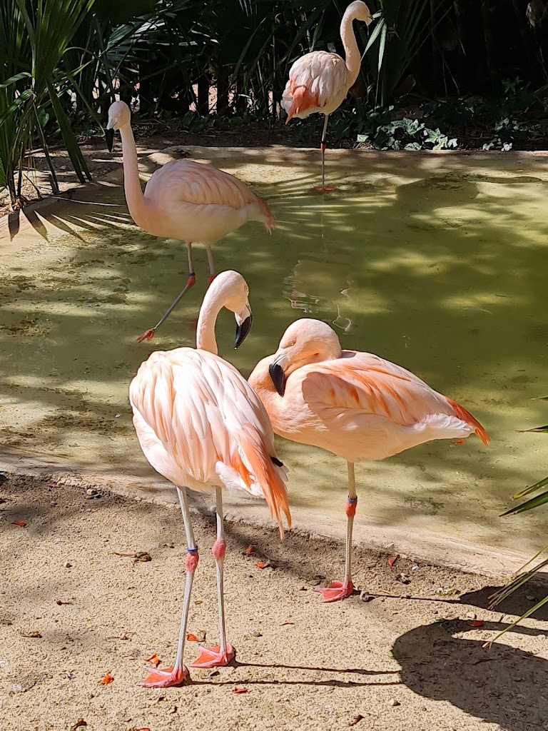 Terra Natura Benidorm - Foto 1