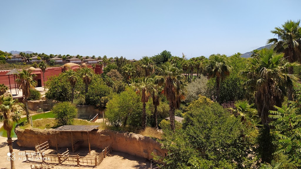 Terra Natura Benidorm 8