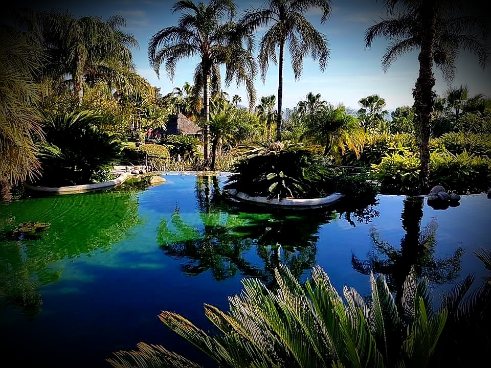 Asia Gardens Hotel & Thai Spa - Foto 1