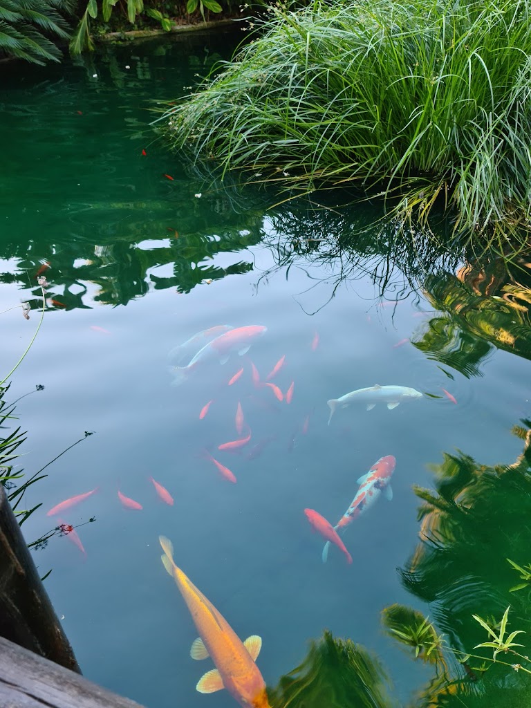 Asia Gardens Hotel & Thai Spa - Foto 19