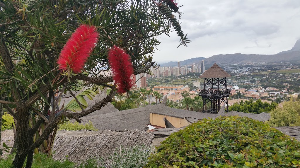 Mundomar Benidorm 11