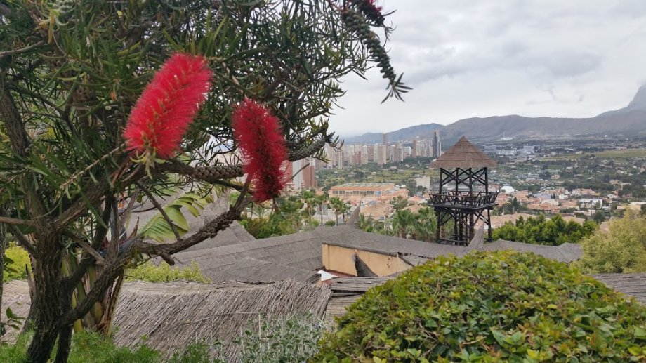 Mundomar Benidorm - Foto 4