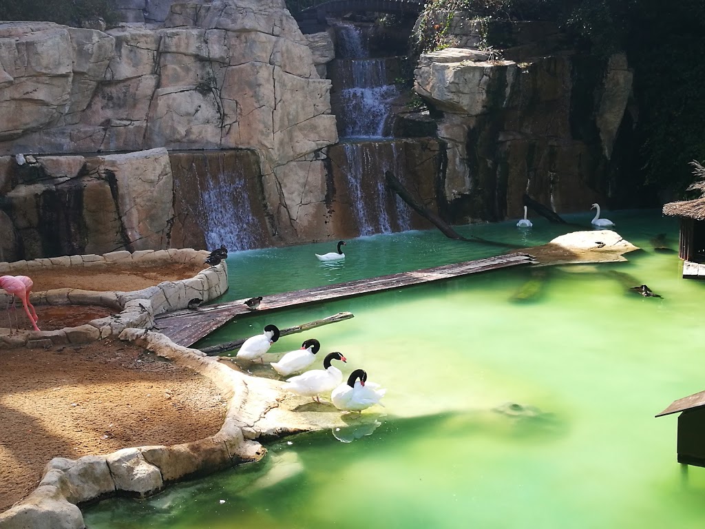 Mundomar Benidorm - Foto 1