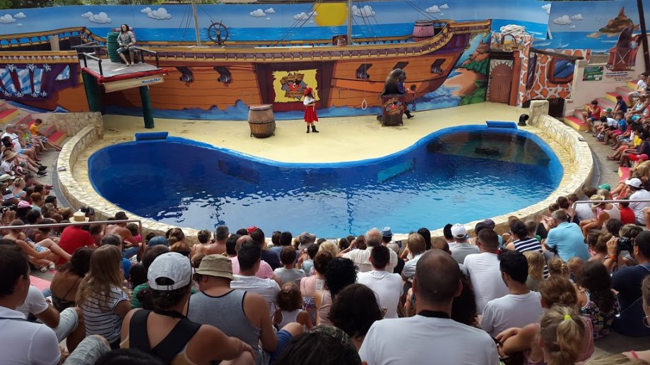 Mundomar Benidorm - Foto 8