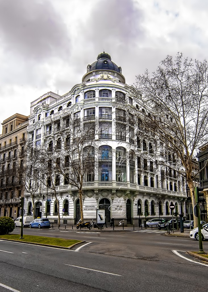 Petit Palace Savoy Alfonso XII 20