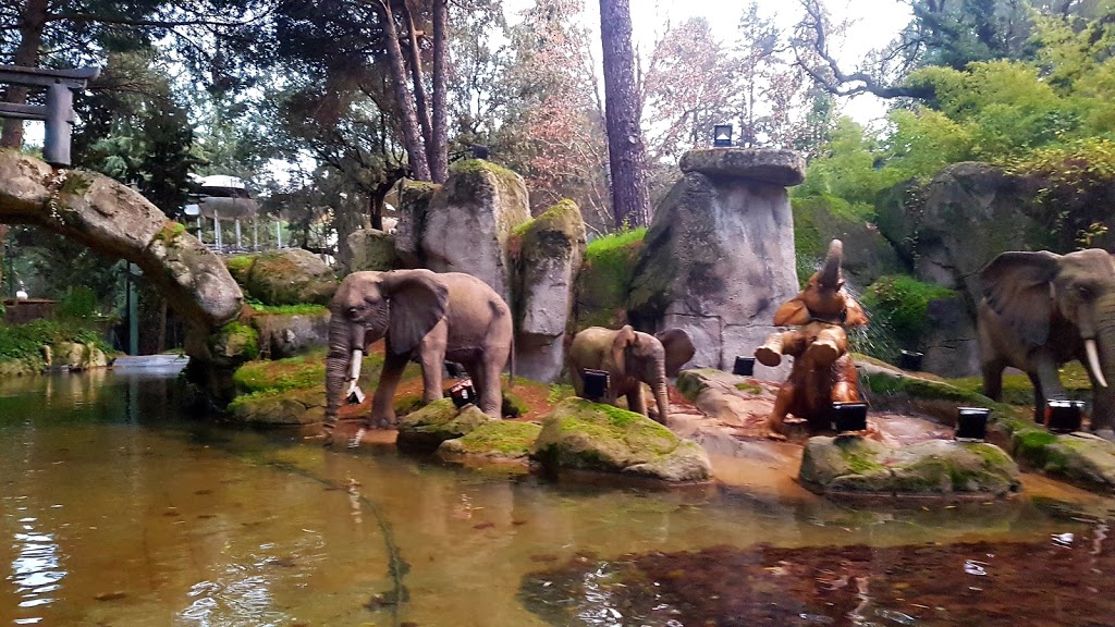 Parque de Atracciones de Madrid - Foto 1