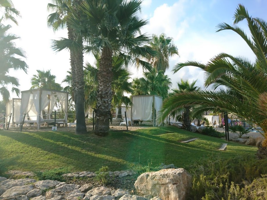 Aquopolis Costa Dorada - La Pineda Salou - Foto 4