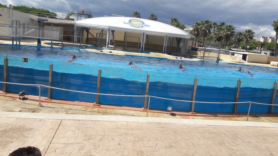 Aquopolis Costa Dorada - La Pineda Salou - Foto 5