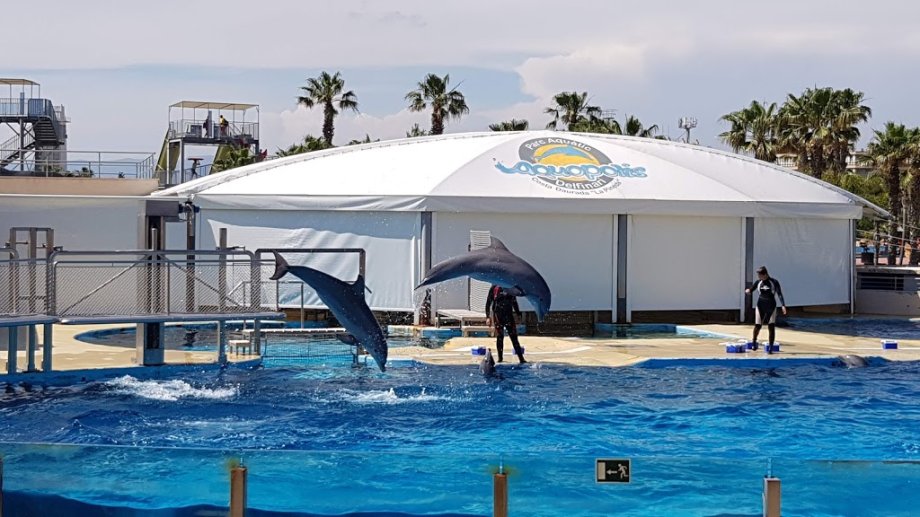 Aquopolis Costa Dorada - La Pineda Salou - Foto 14