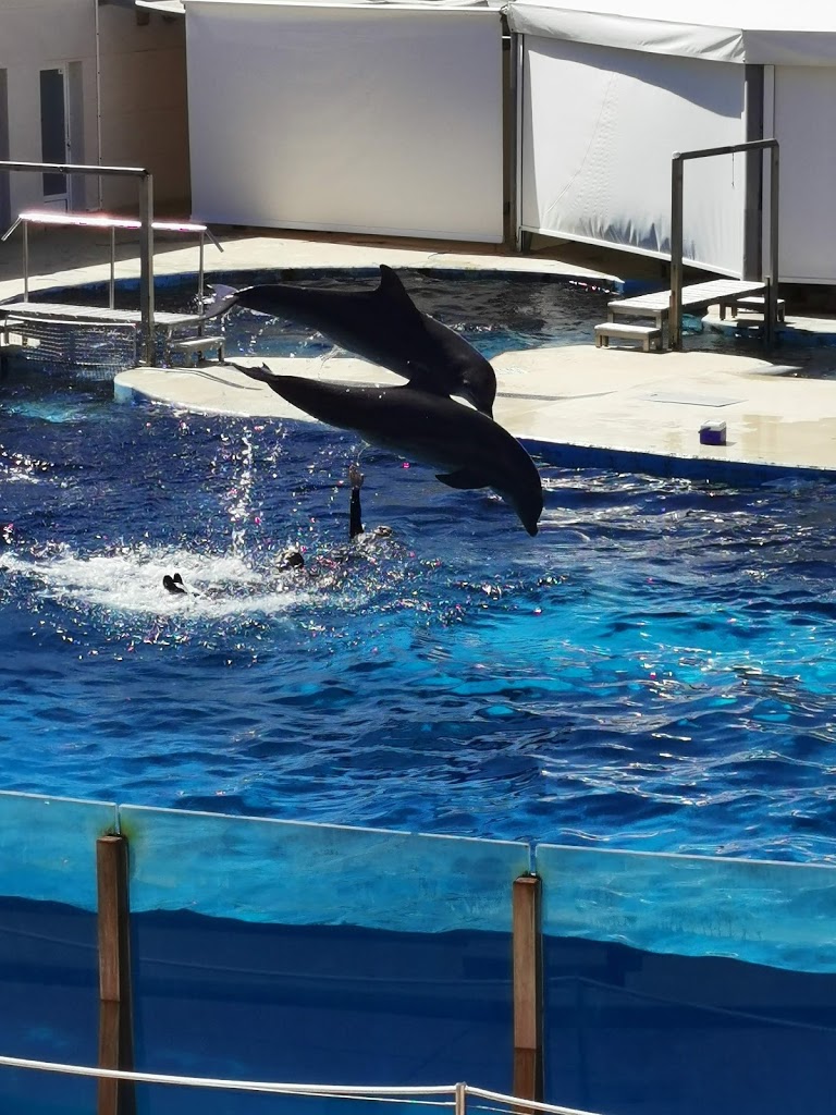 Aquopolis Costa Dorada - La Pineda Salou - Foto 18