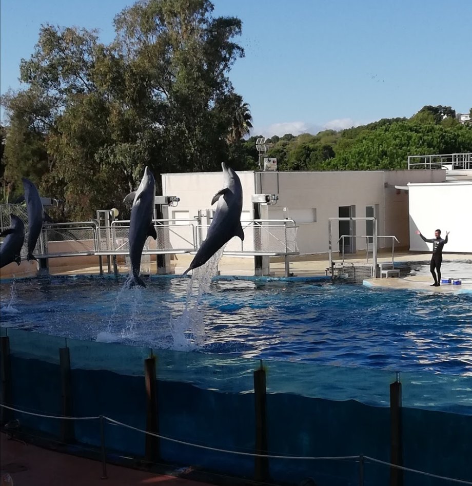 Aquopolis Costa Dorada - La Pineda Salou - Foto 23