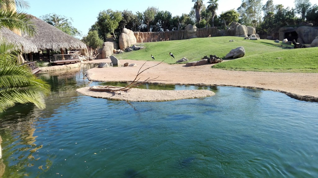 Bioparc Valencia 13