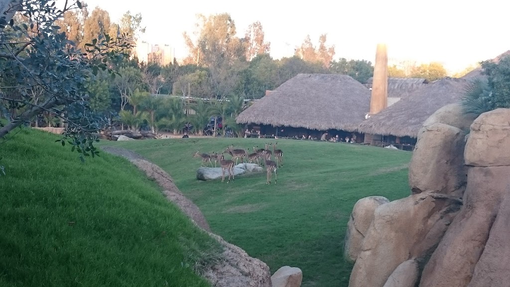 Bioparc Valencia - Foto 1