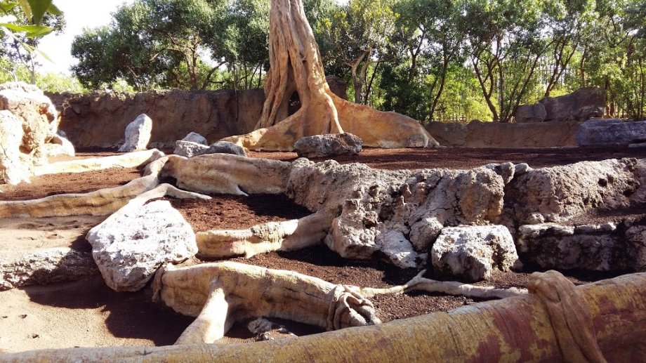 Bioparc Valencia - Foto 4