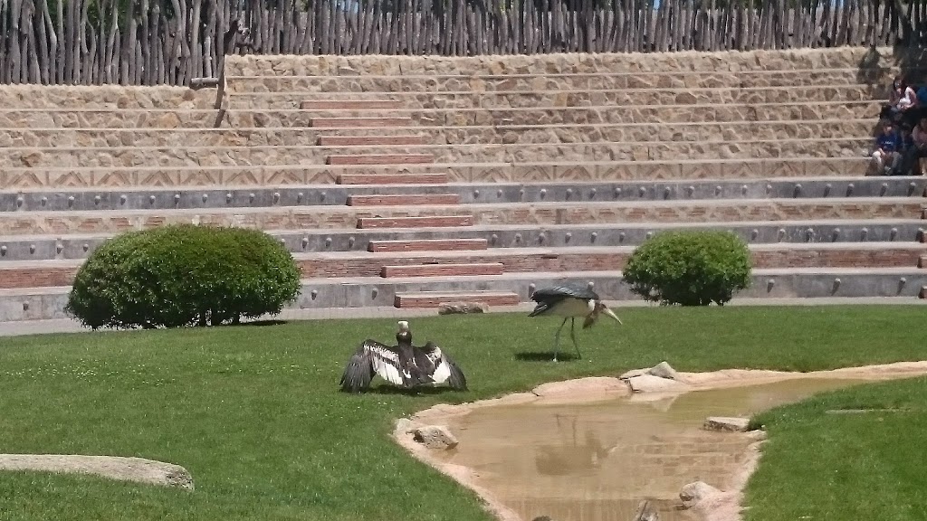 Bioparc Valencia - Foto 1