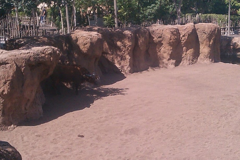 Bioparc Valencia - Foto 7