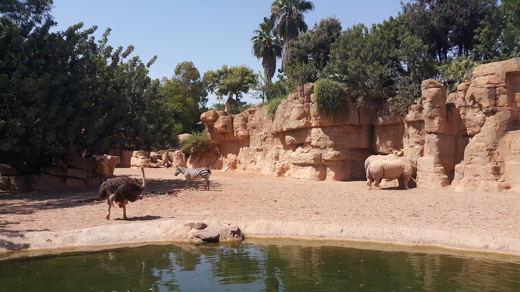 Bioparc Valencia 20