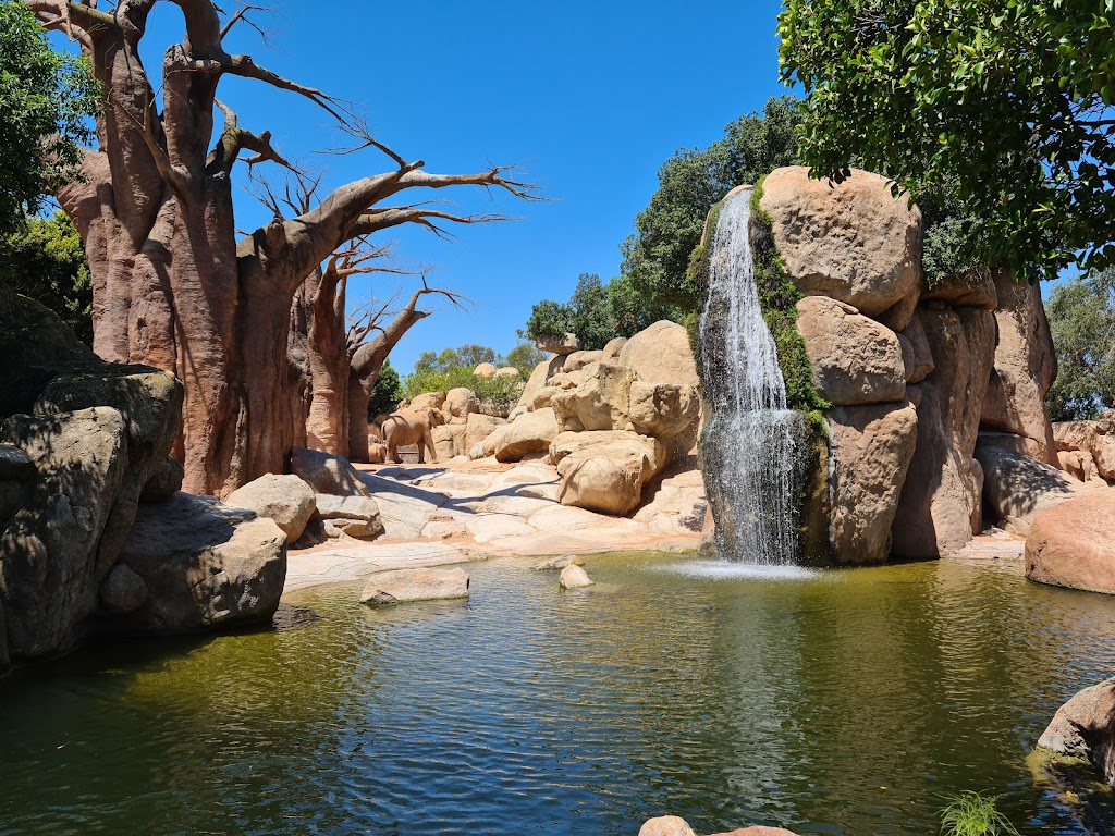 Bioparc Valencia - Foto 1