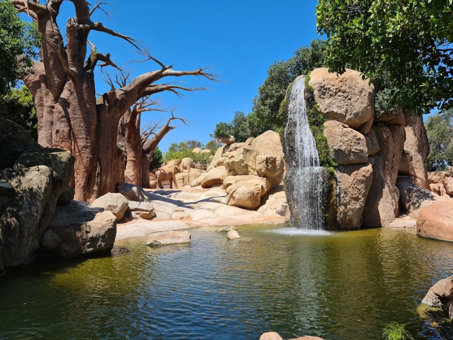 Bioparc Valencia - Foto 10