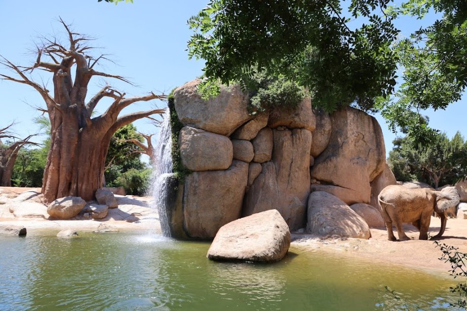 Bioparc Valencia - Foto 11