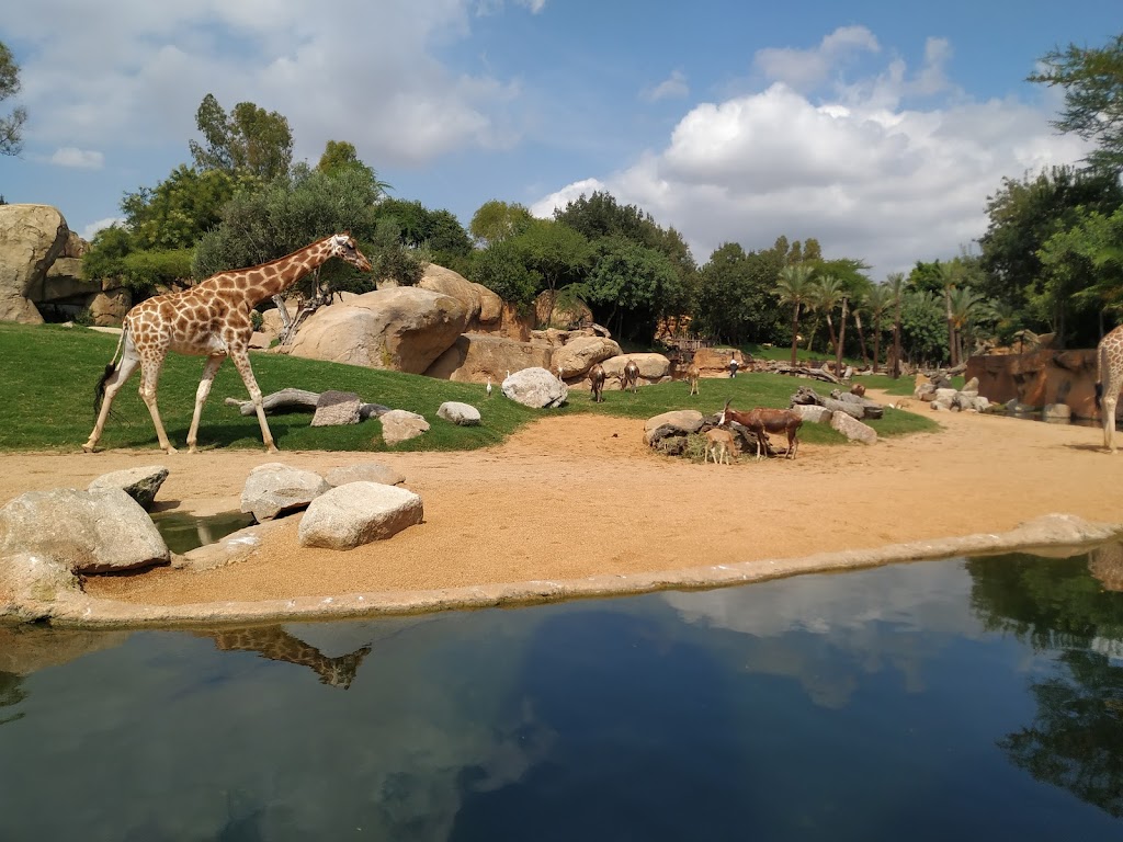 Bioparc Valencia 5
