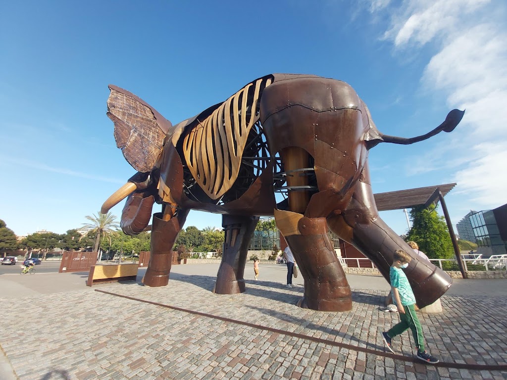 Bioparc Valencia - Foto 1