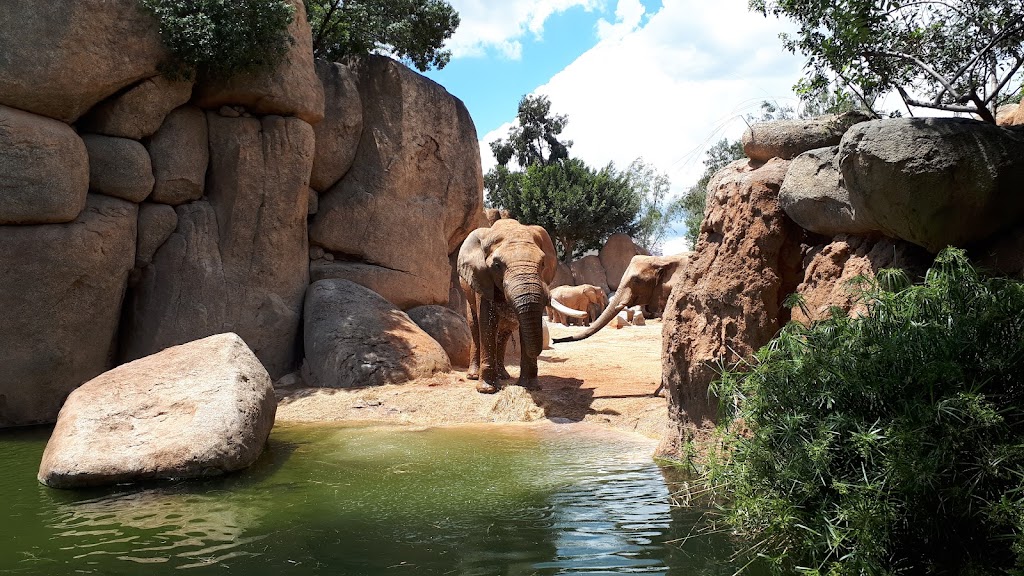 Bioparc Valencia - Foto 1