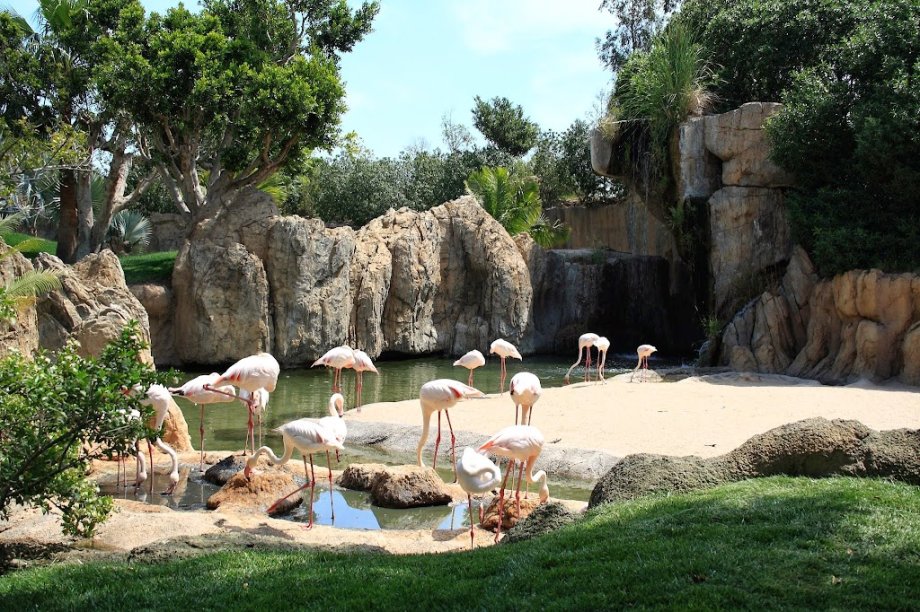 Bioparc Valencia - Foto 18