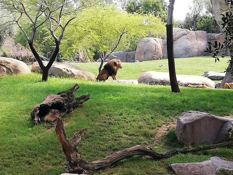 Bioparc Valencia - Foto 19