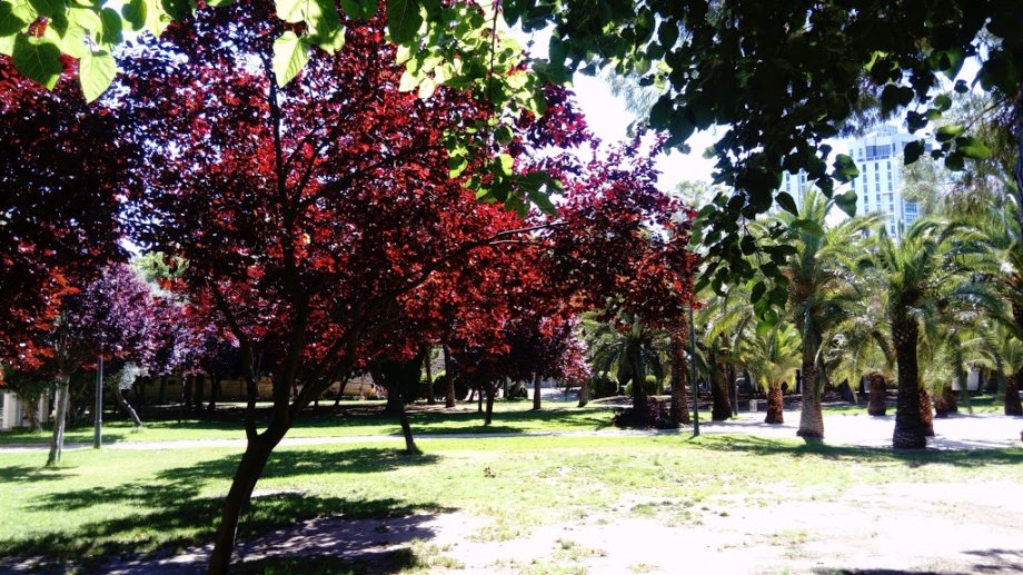 Parque Gulliver - Foto 6