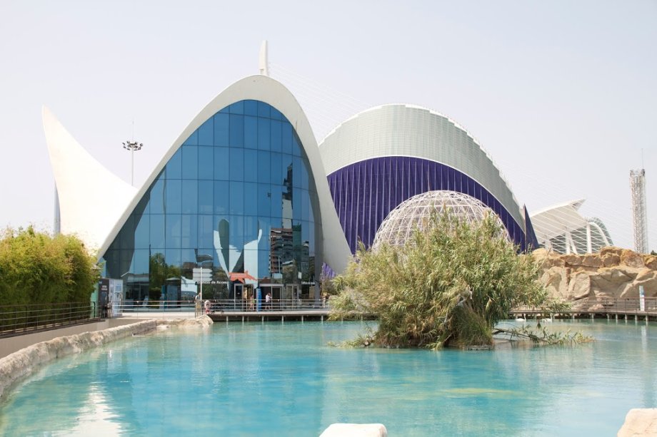Oceanogràfic València - Foto 2