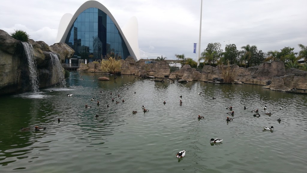 Oceanogràfic València 13