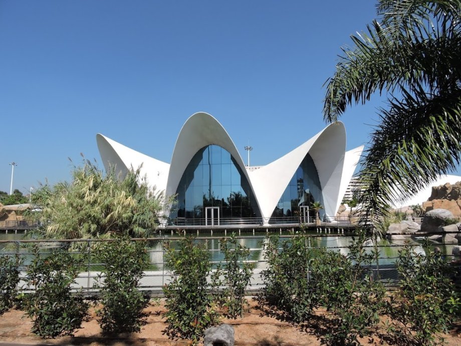 Oceanogràfic València - Foto 5