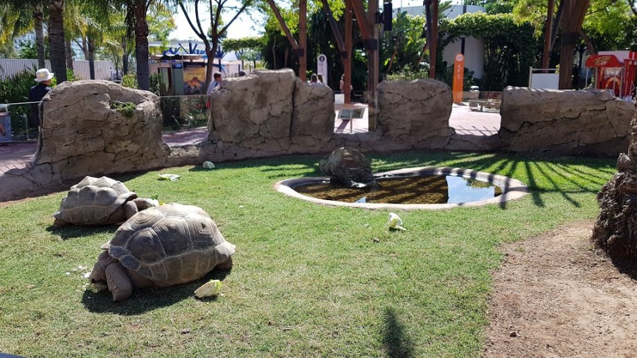 Oceanogràfic València - Foto 6