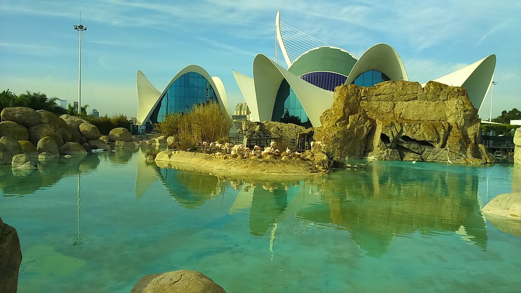Oceanogràfic València 18