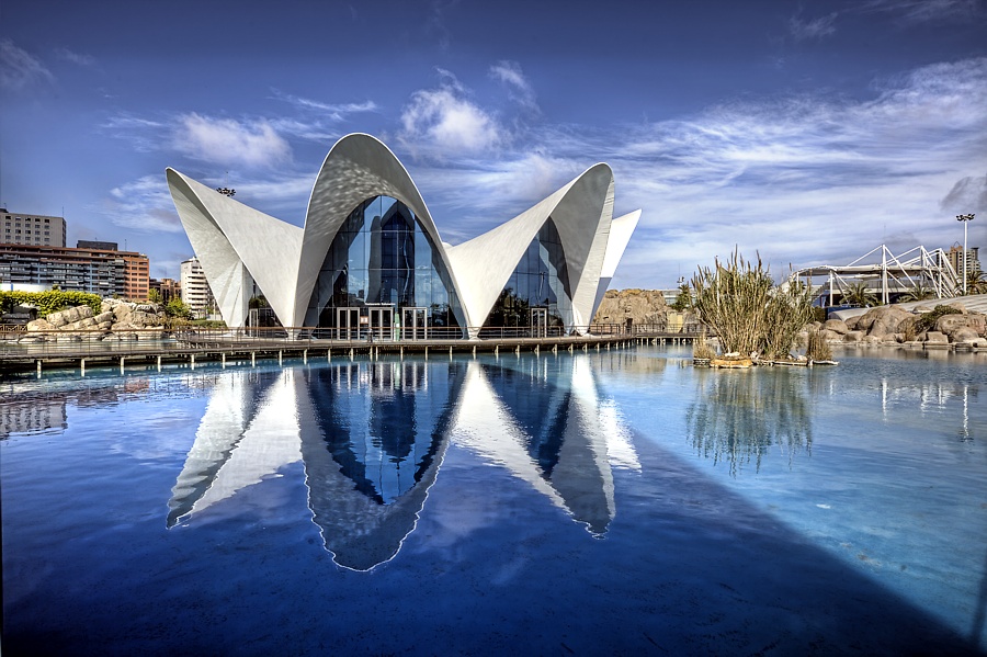 Oceanogràfic València 1