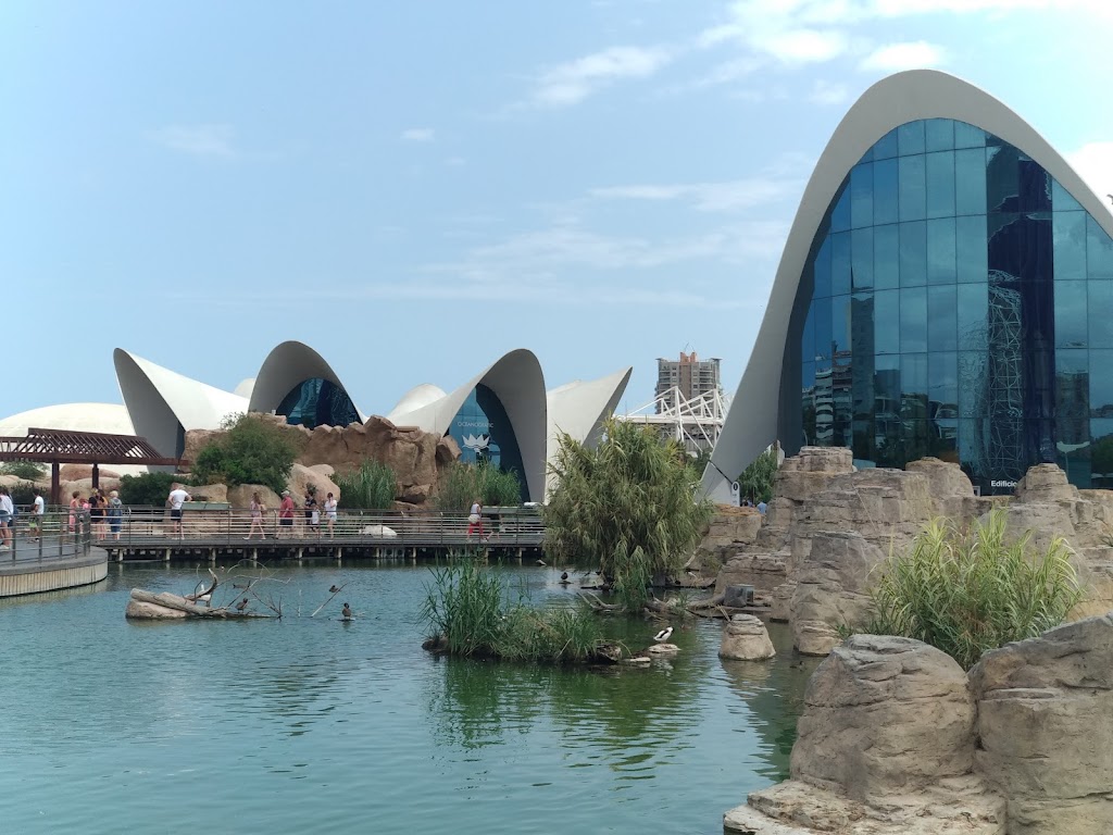 Oceanogràfic València 2