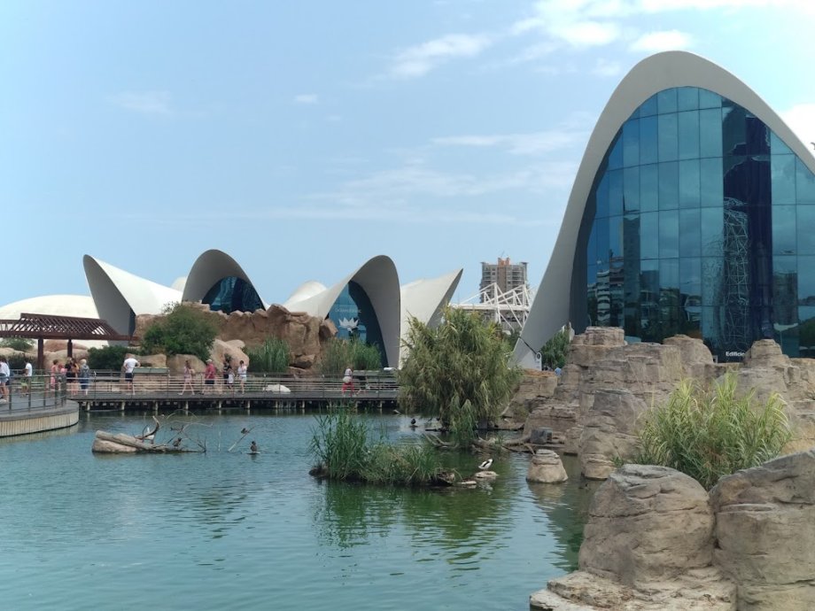 Oceanogràfic València - Foto 15