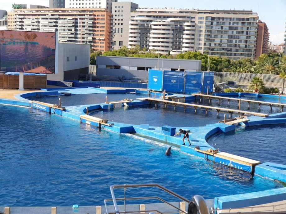 Oceanogràfic València - Foto 20