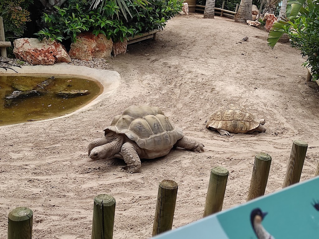 Oceanogràfic València 10